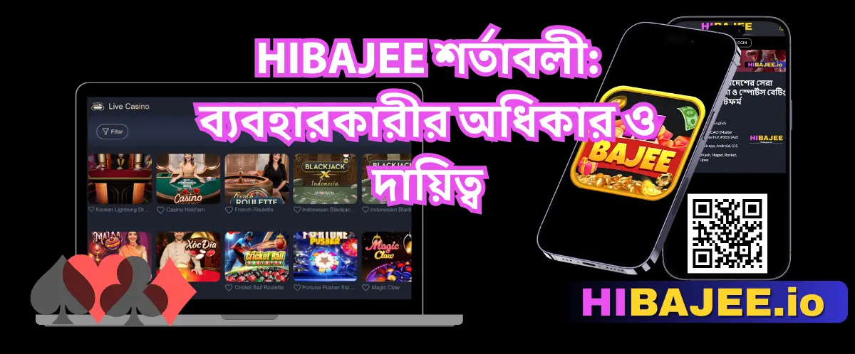 HIBAJEE শর্তাবলী: ব্যবহারকারীর অধিকার ও দায়িত্ব