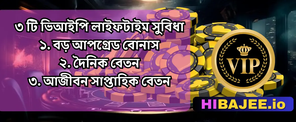 HIBAJEE ভিআইপি সুবিধা ও স্তর | এক্সক্লুসিভ বোনাস ও পুরস্কার